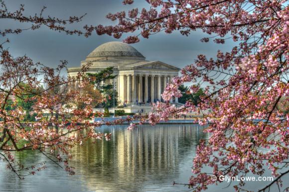 The National Cherry Blossom Festival